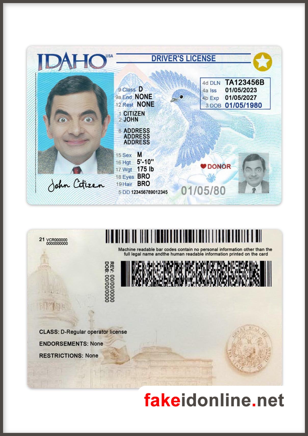 Idaho Driver License PSD Template
